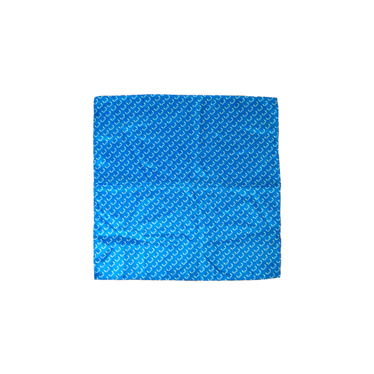 THE ´´M´´KERCHIEF